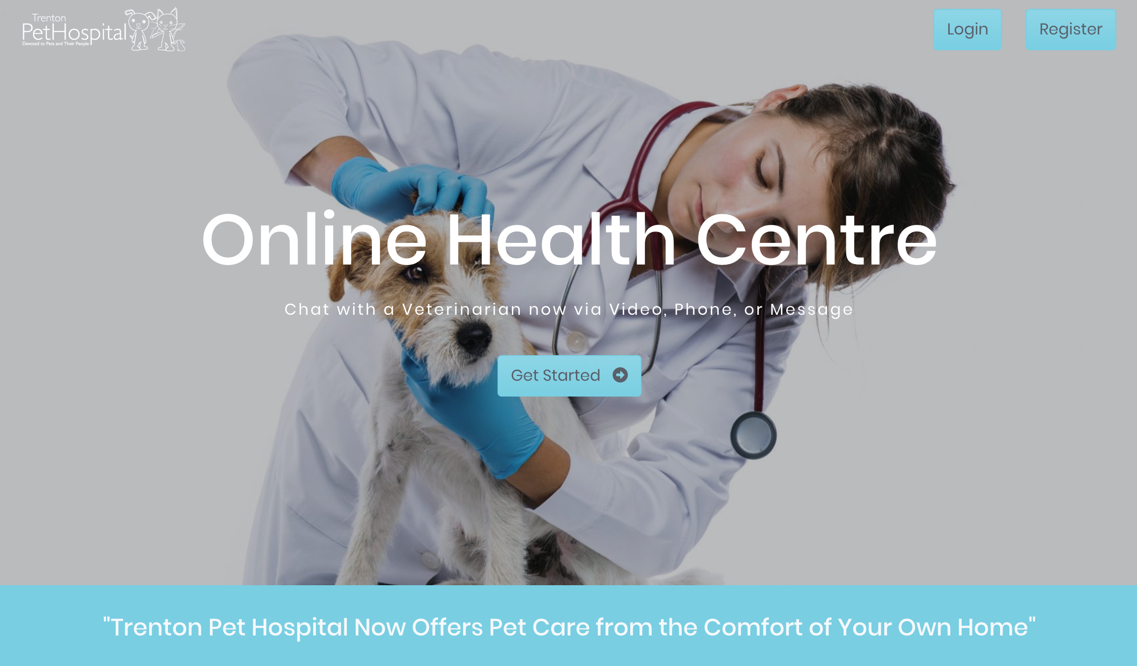 Trenton Pet Hospital